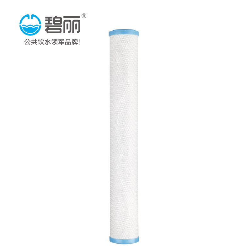 活性炭滤芯T20